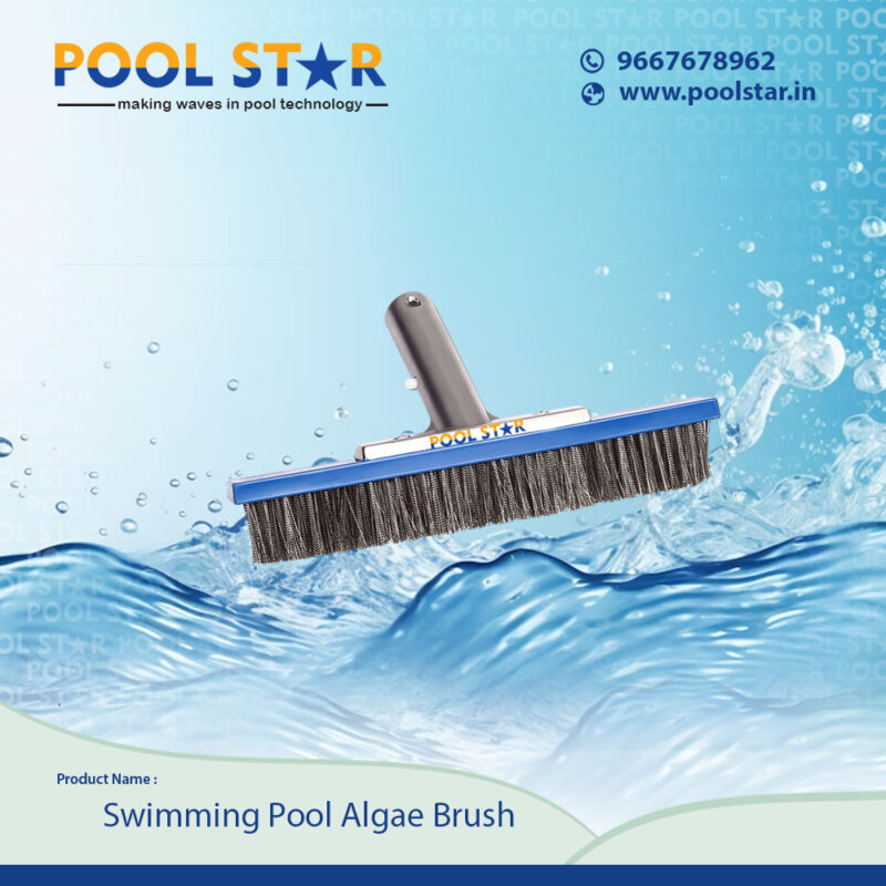 Swimming Pool Algae Brush